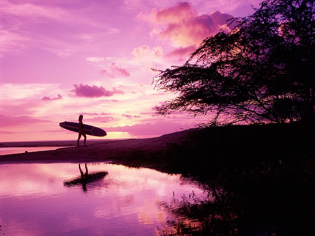 Maui Surfer, Hawaii